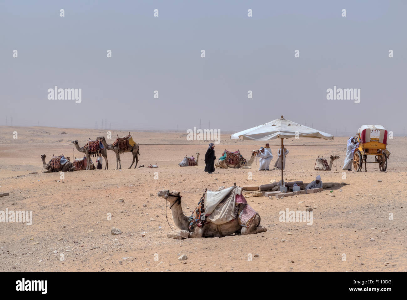 life in the desert in Giza, Cairo, Egypt, Africa Stock Photo