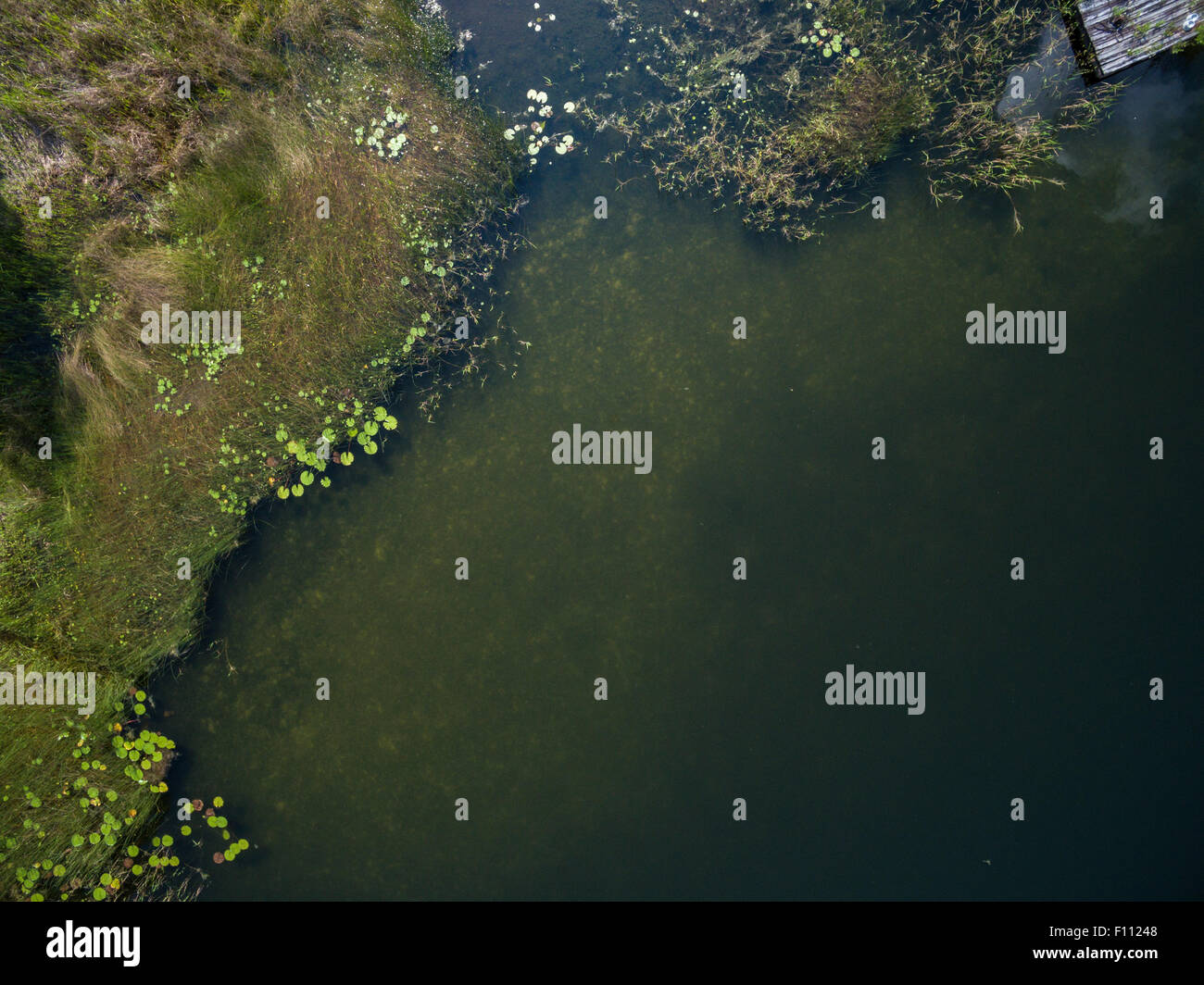 Overhead view of freshwater lake shoreline Stock Photo