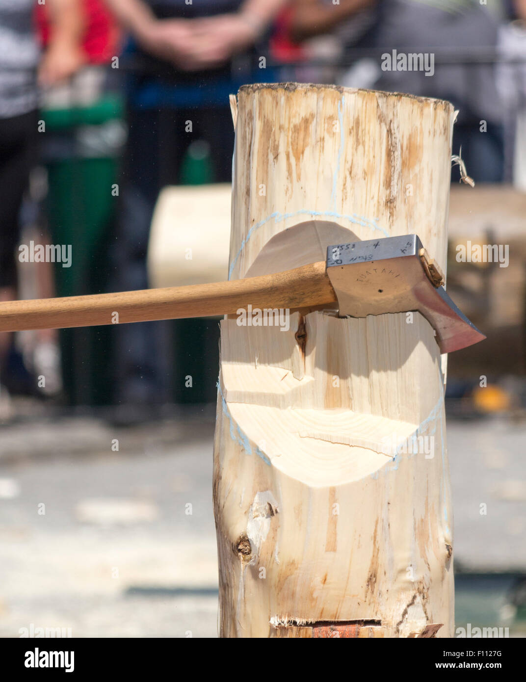 An axe lodged into a log during a logging competition at the Canadian National Exhibition in Toronto Ontario Canada Stock Photo