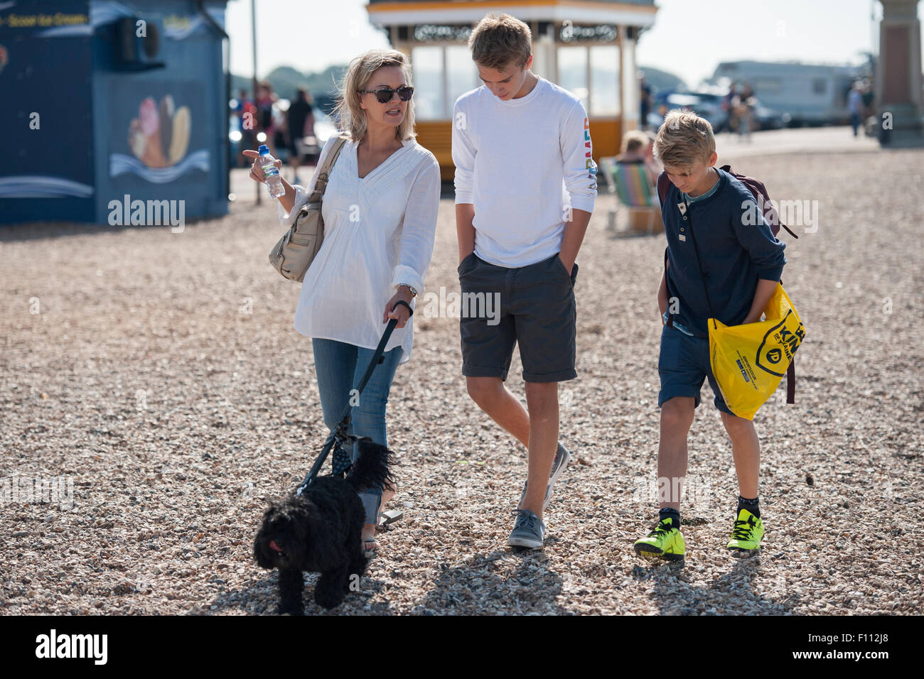 A mother and her two teenage sons walk along a shingle beach in Portsmouth with their black cockapoo dog Stock Photo