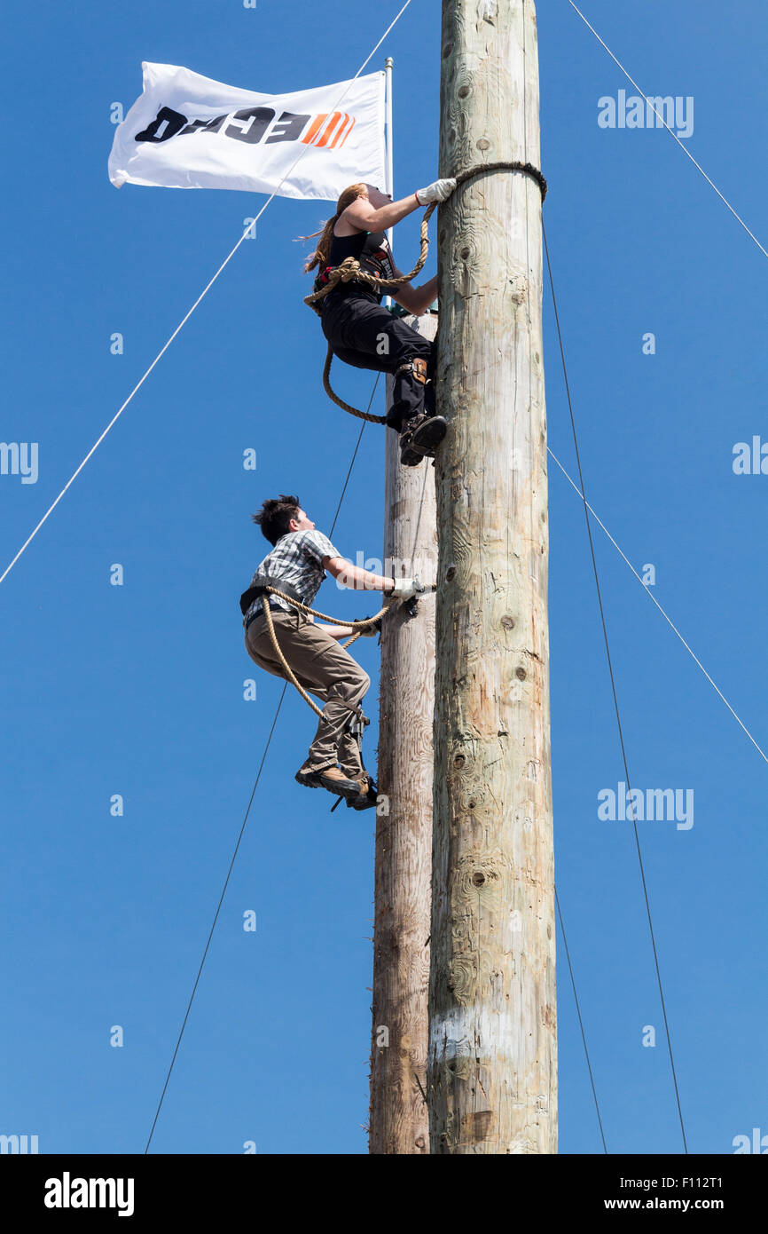 Tree climbing competition hi-res stock photography and images - Alamy