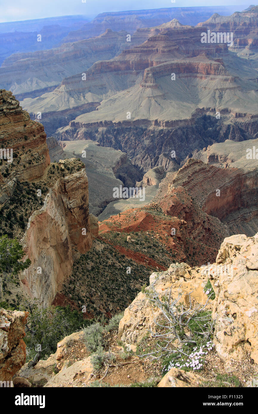 Southern Rim view from south rim trail grand canyon Stock Photo - Alamy