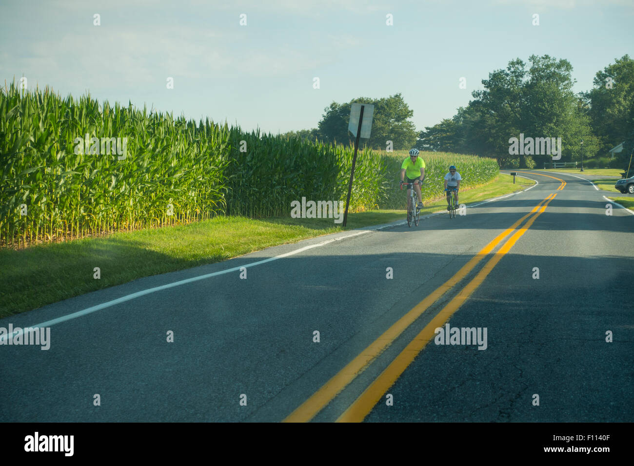 user_9655　YeLLOW CORN HIGHWAY Dividing median curb on empty road with white and yellow