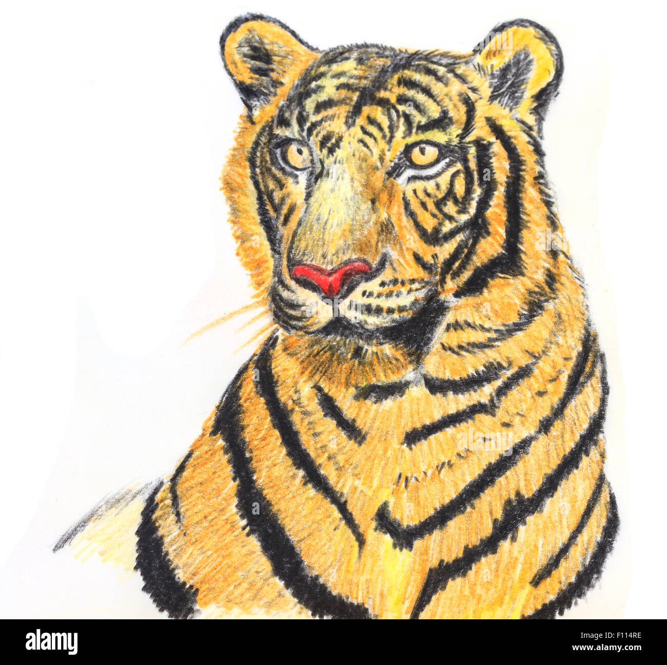 Eye Of Tiger, Drawing by Lukim | Artmajeur