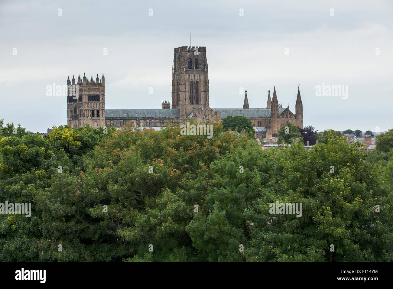 Durham Cathedral and trees. A view from St Aidan's University College outside the city of Durham. Taken with a long lens. Stock Photo