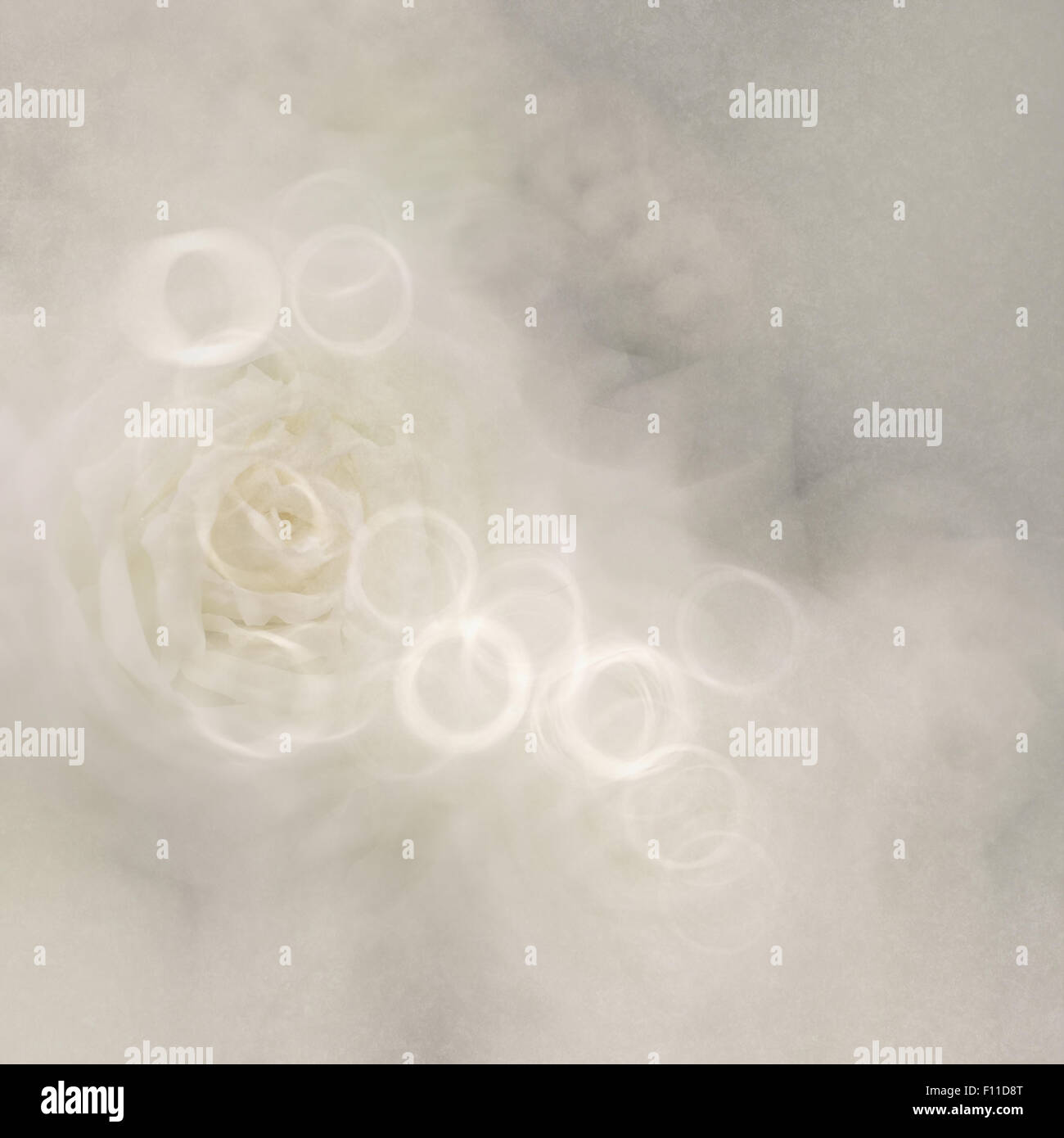 blurred flower background Stock Photo Alamy