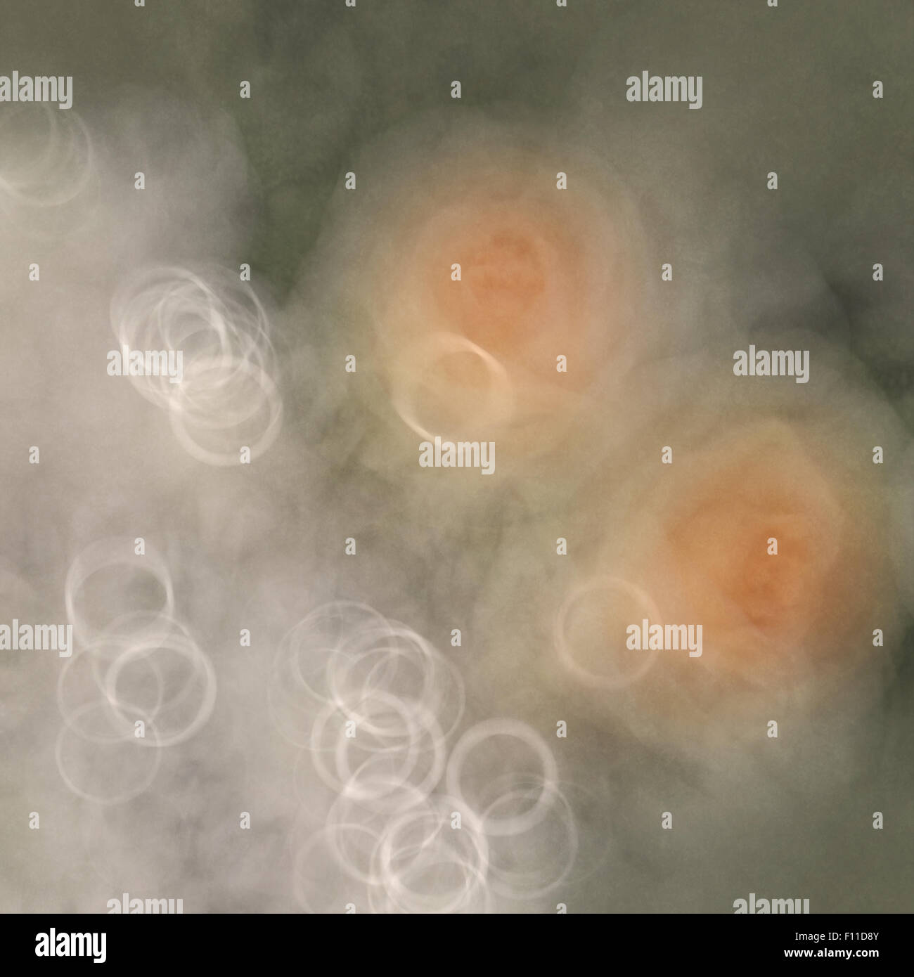 blurred flower background Stock Photo Alamy