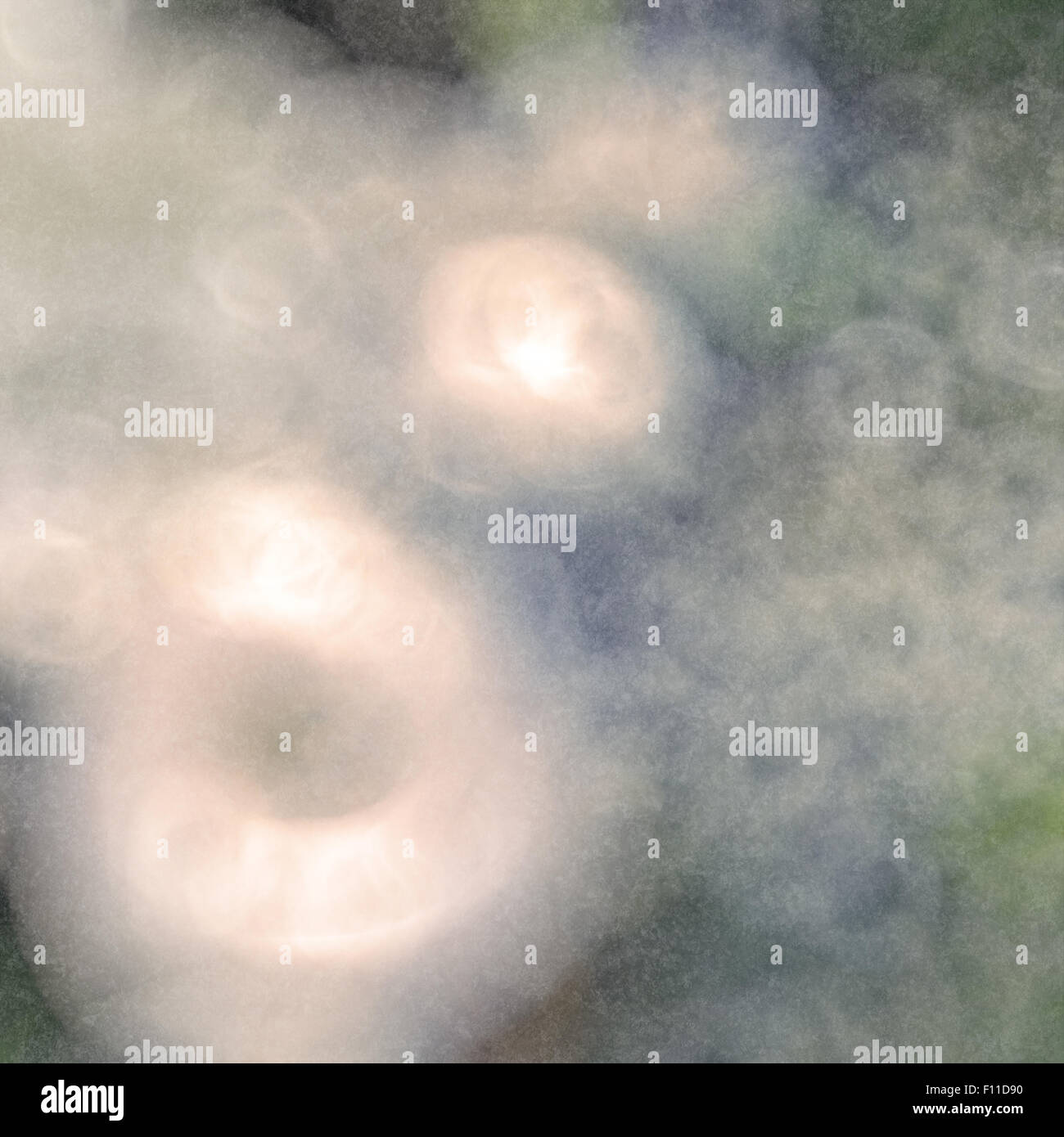 blurred flower background Stock Photo Alamy