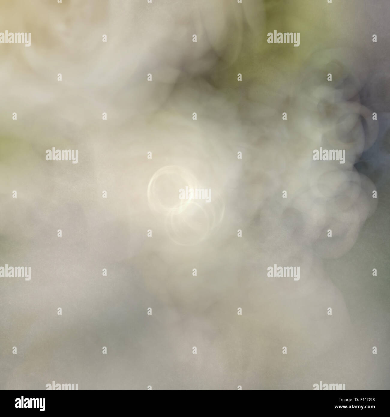 blurred flower background Stock Photo Alamy