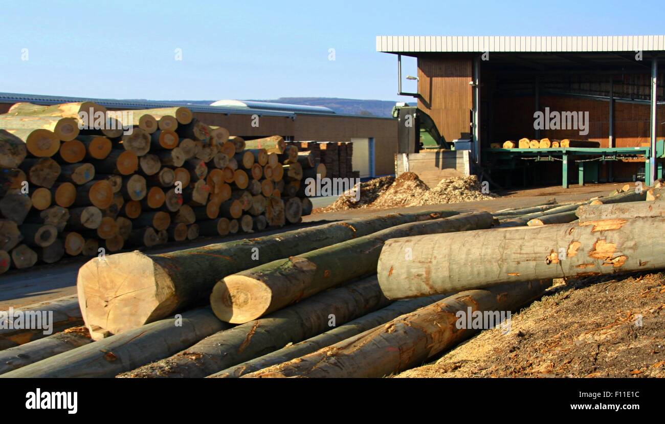 stock of logs and wood prior to processing on the saw Stock Photo