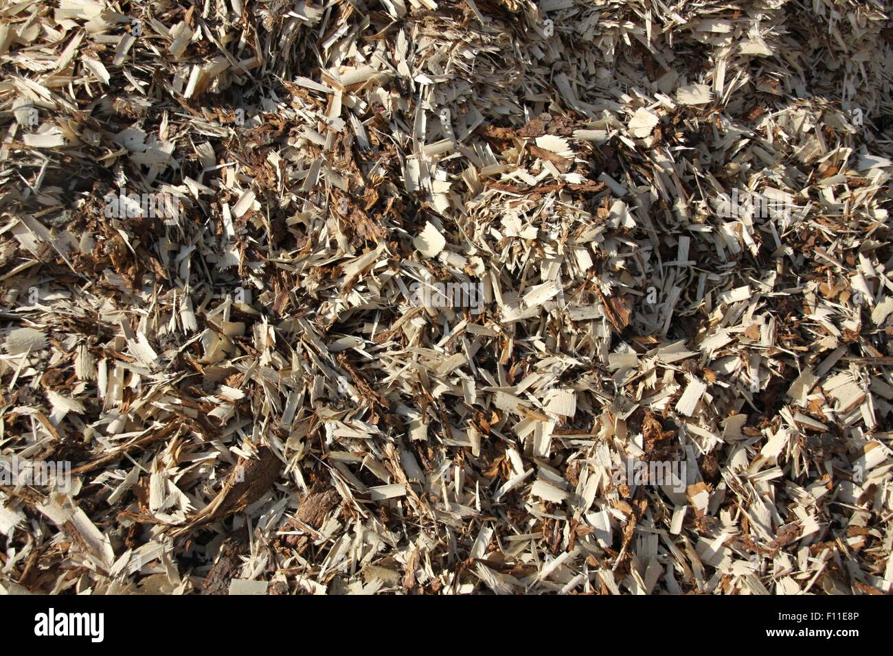 White and brown wood chips as natural background Stock Photo