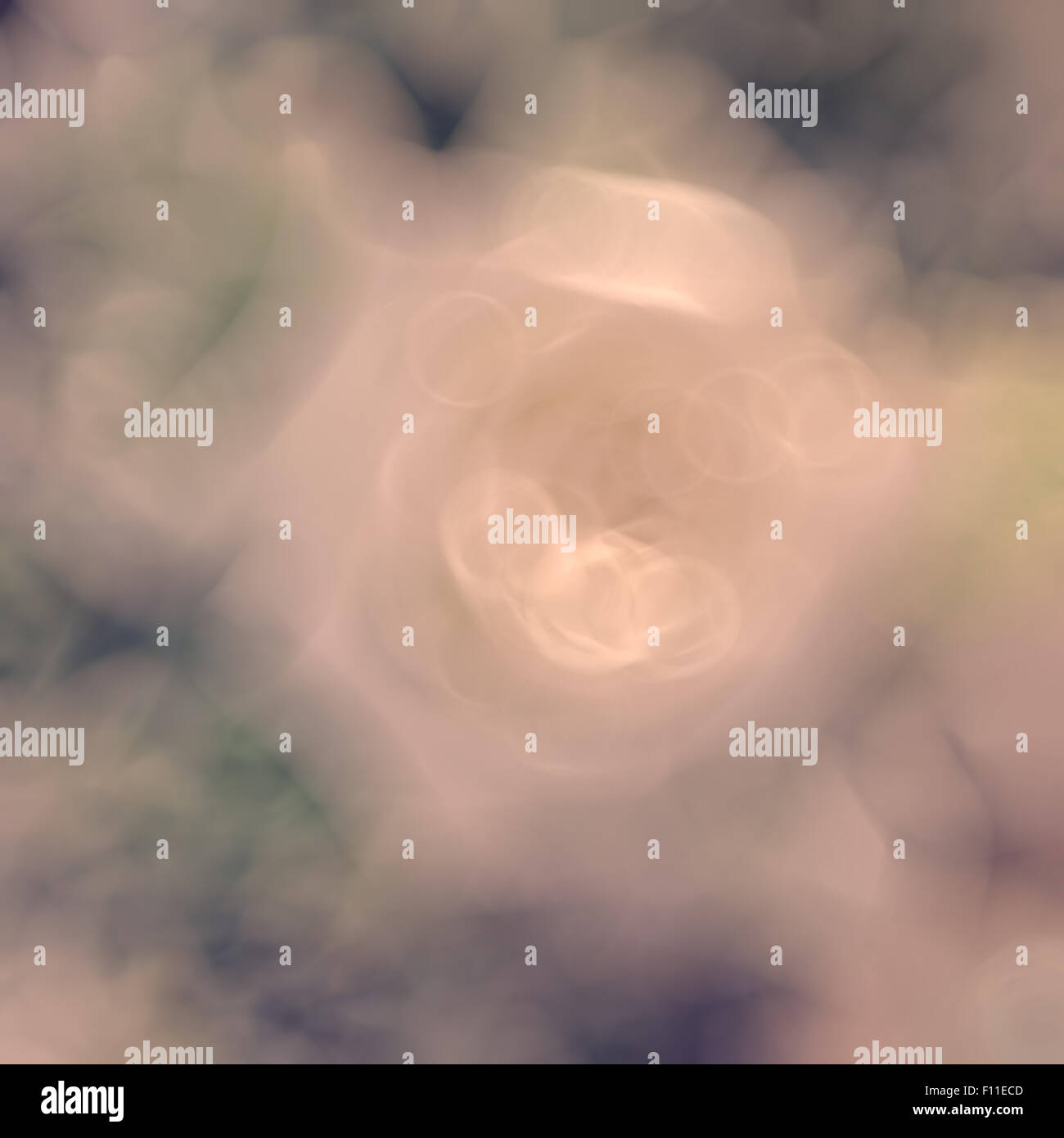 blurred flower background Stock Photo Alamy