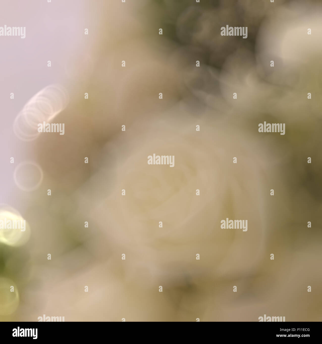 blurred flower background Stock Photo Alamy