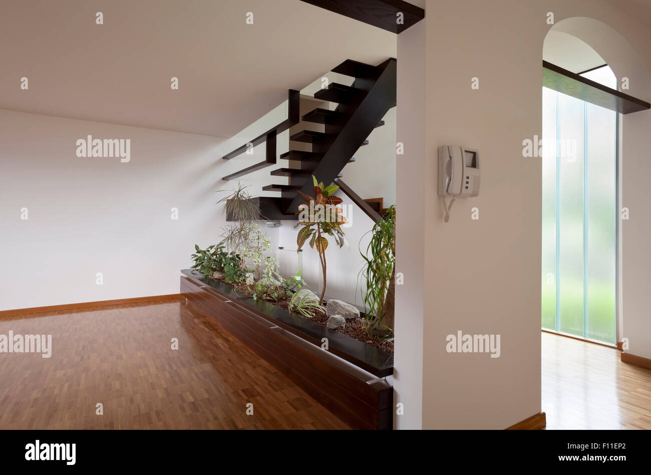 Interior design house plants hi-res stock photography and images - Alamy