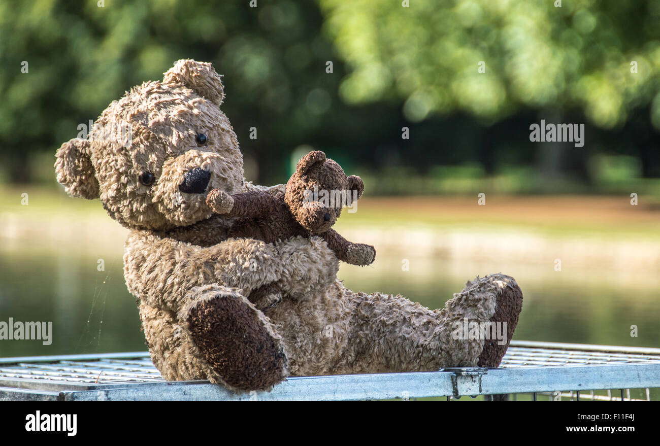 Teddy Bear in the Sun Stock Photo