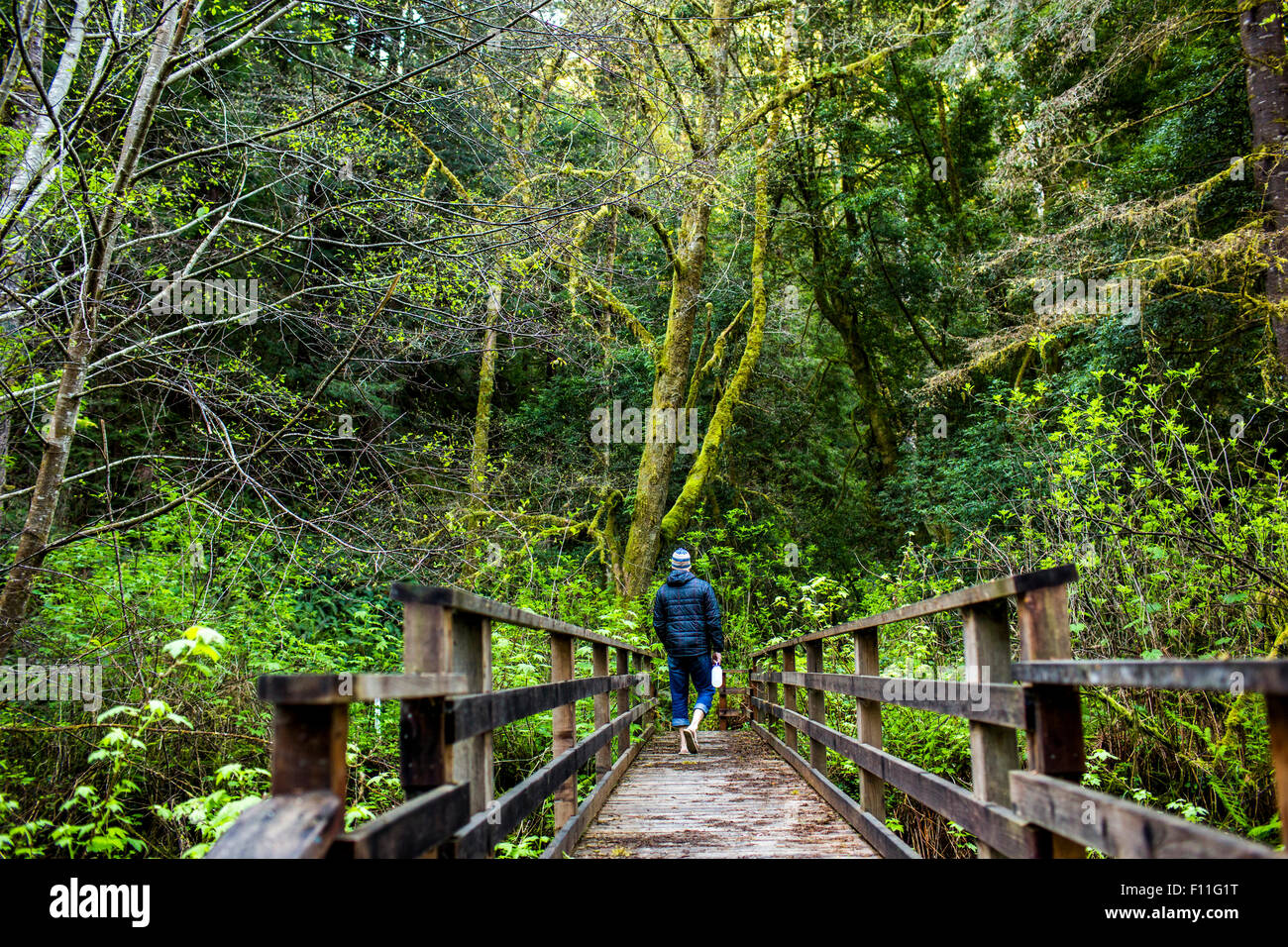 Rear hiker man walking hi-res stock photography and images - Alamy