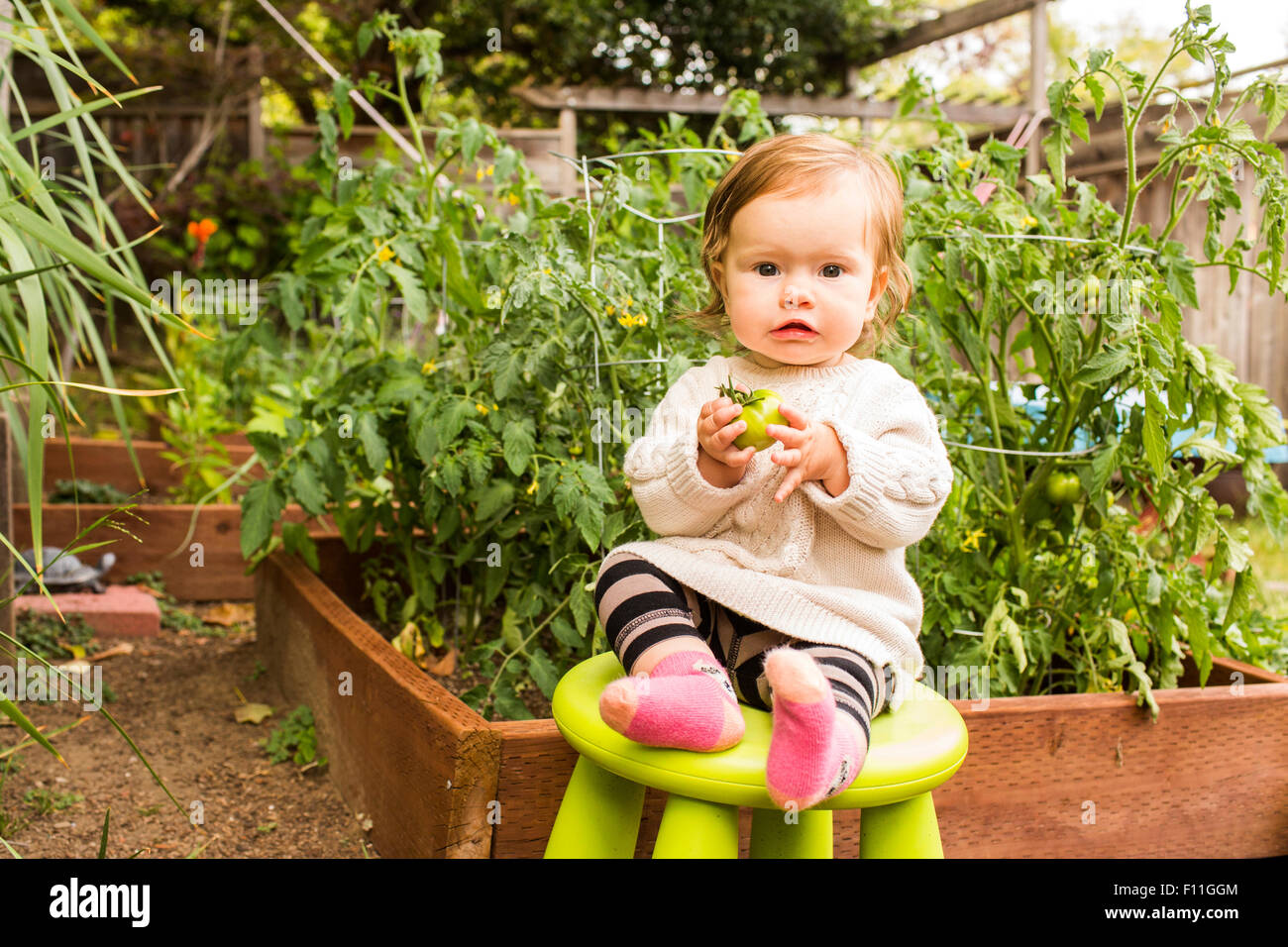 Caucasian baby girl sitting on stool in vegetable garden Stock Photo