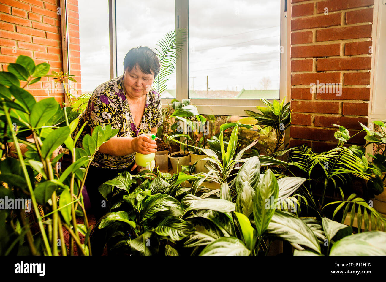 Caucasian woman watering indoor plants Stock Photo