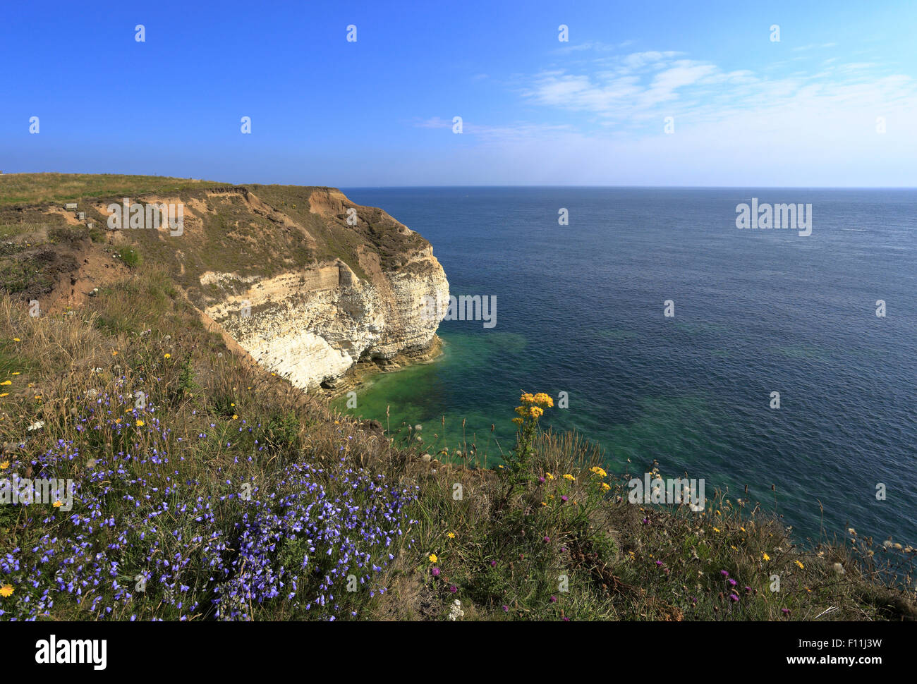 Chalk cliffs at Flamborough Head, East Yorkshire, England, UK Stock