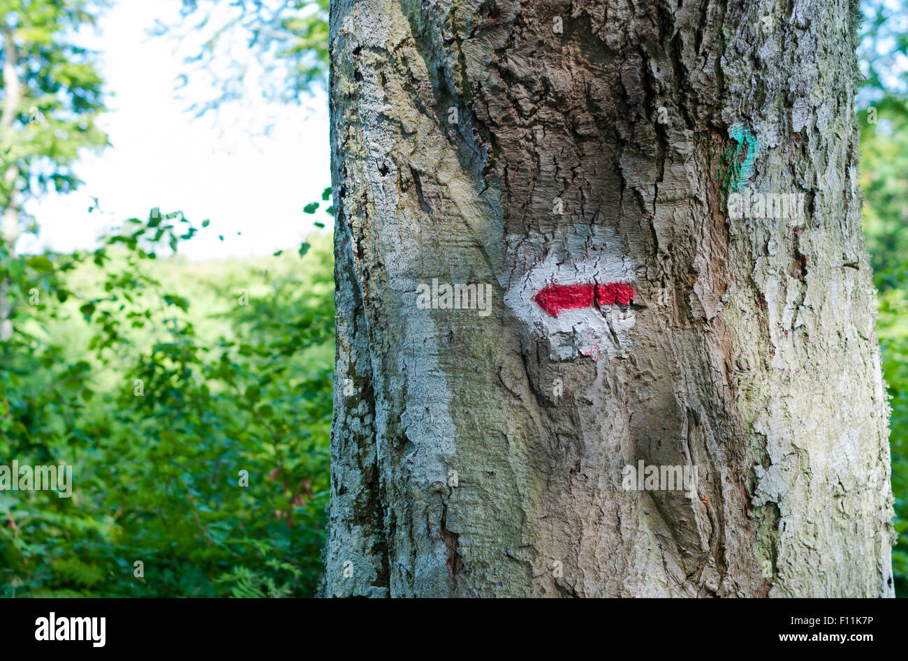 Polish Tourist Trail Sign Red Trail Stock Photo Alamy