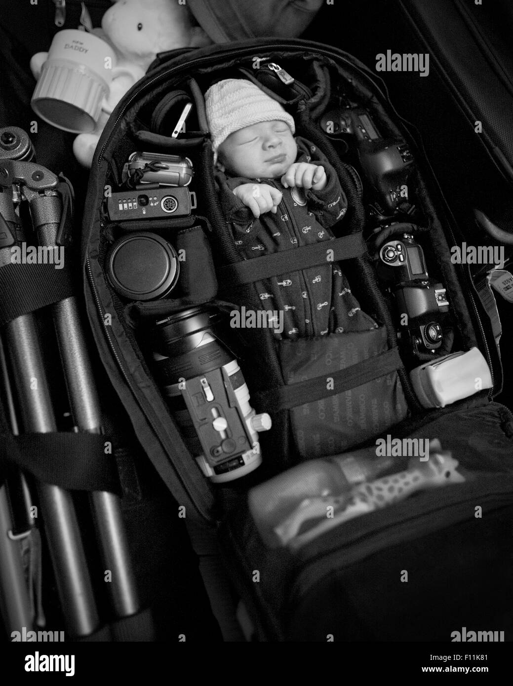 Caucasian infant packed into camera bag Stock Photo
