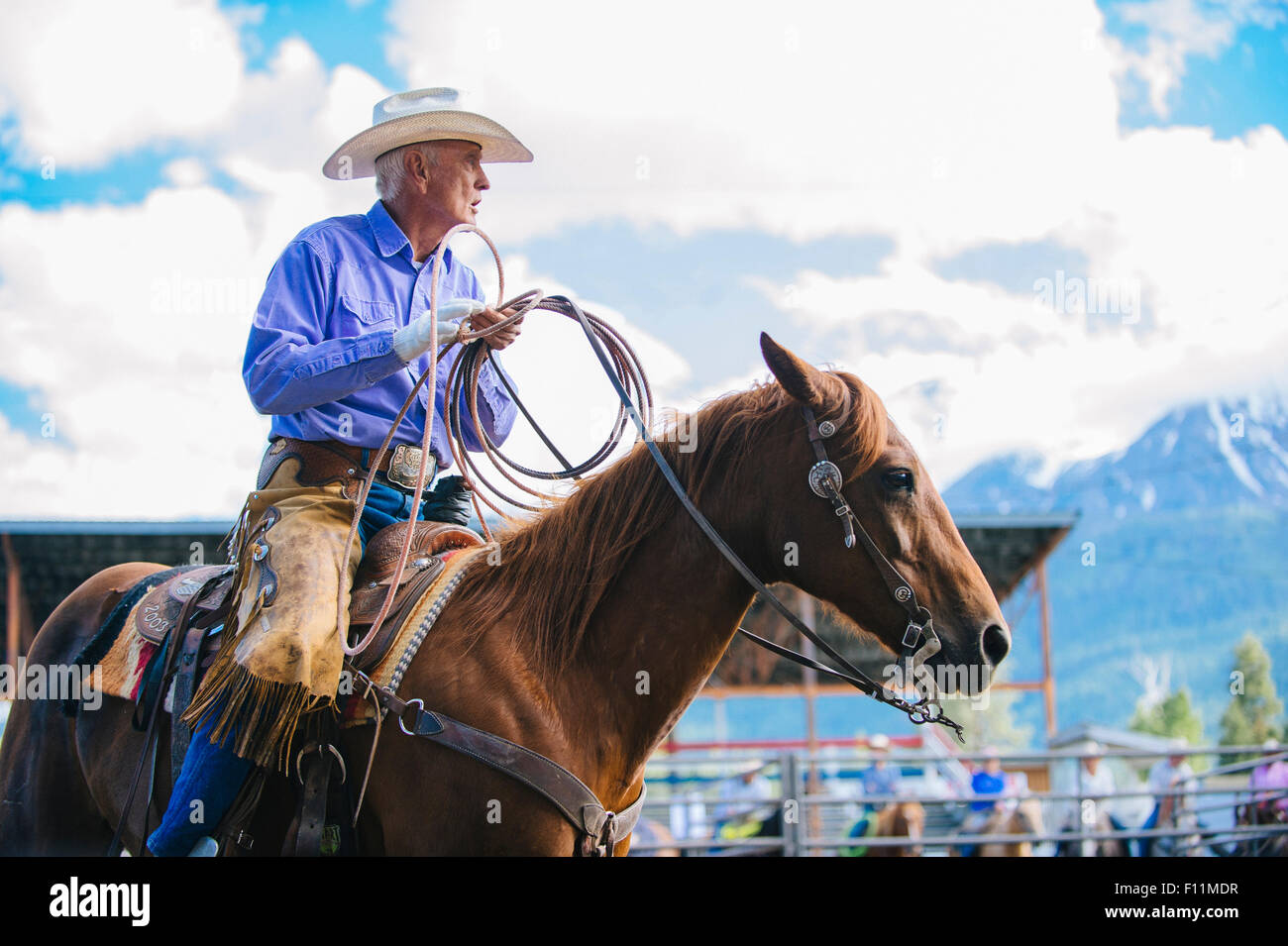 Older Caucasian cowboy riding horse at rodeo Stock Photo