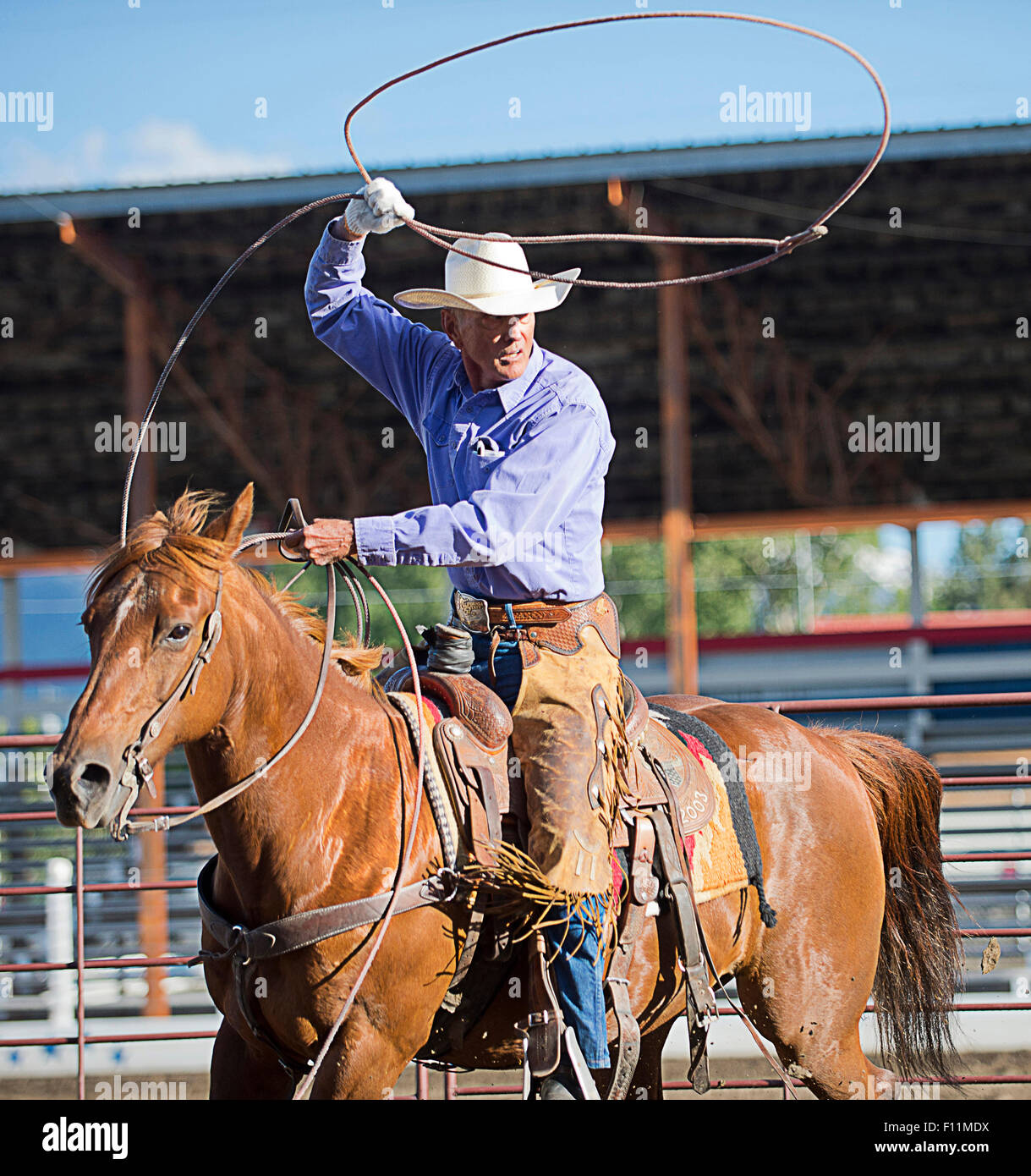 Older Caucasian cowboy throwing lasso at rodeo Stock Photo