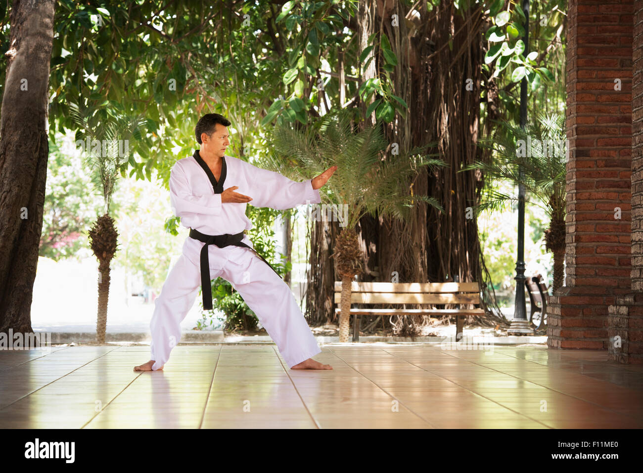 Hispanic man practicing martial arts on patio Stock Photo Alamy
