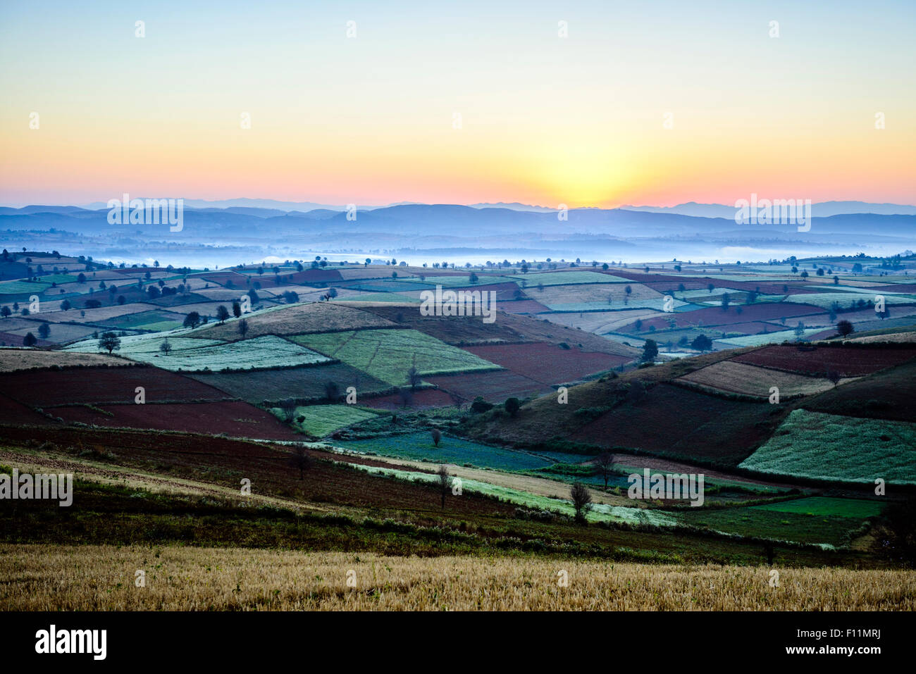Scenic view of rural farmland, Mandalay, Myanmar Stock Photo