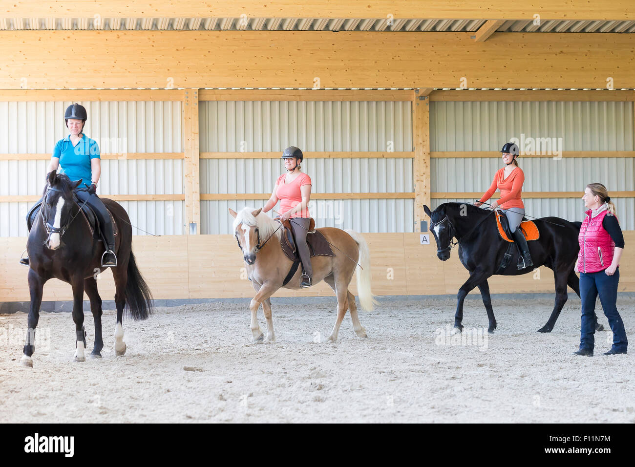 Riding lesson in a riding hall Stock Photo