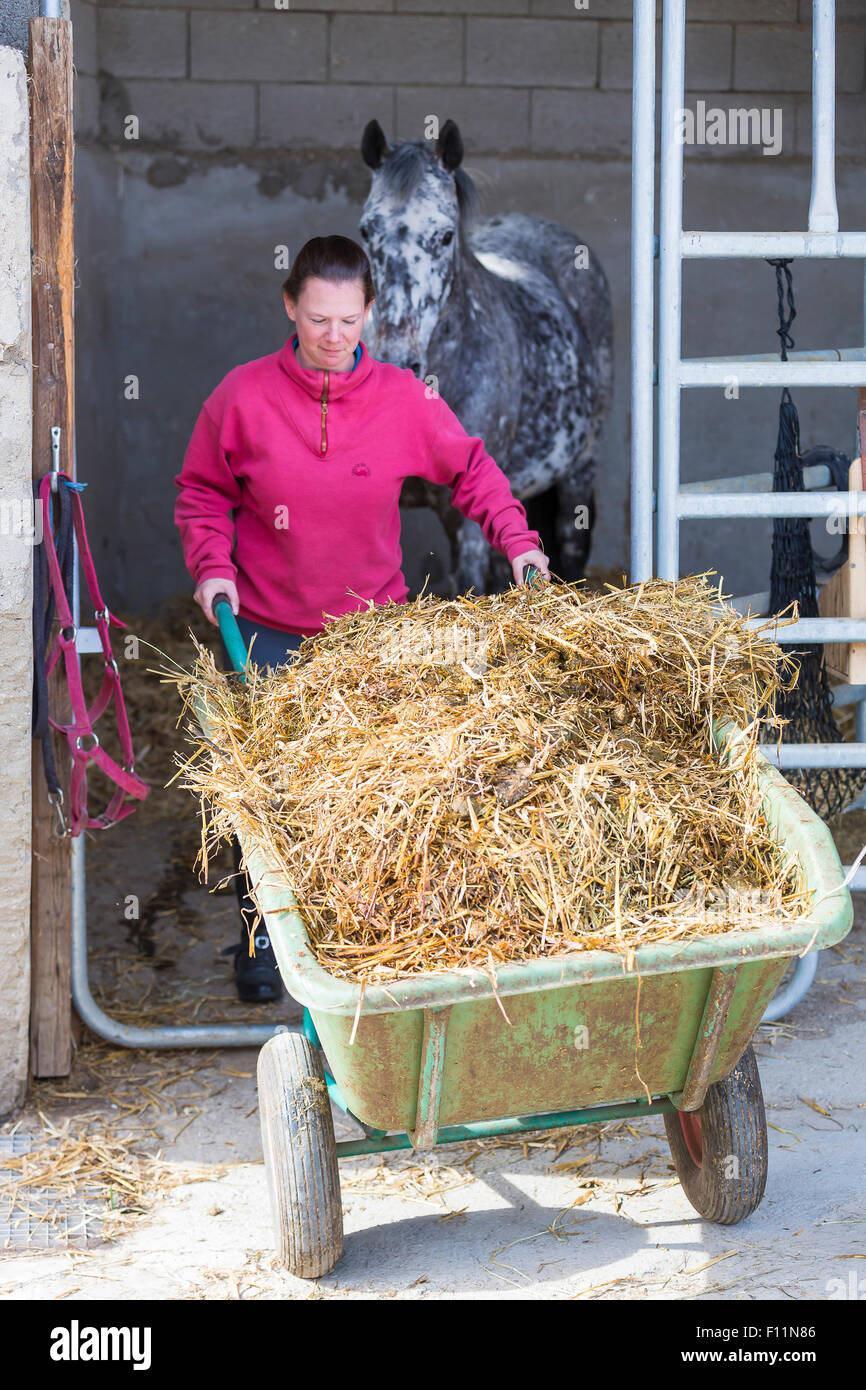 Mucking out stable hires stock photography and images Alamy