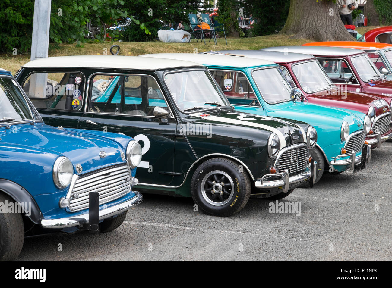 A line up of Mini Coopers at Chateau Impney Hill Climb, Worcestershire, England, UK Stock Photo