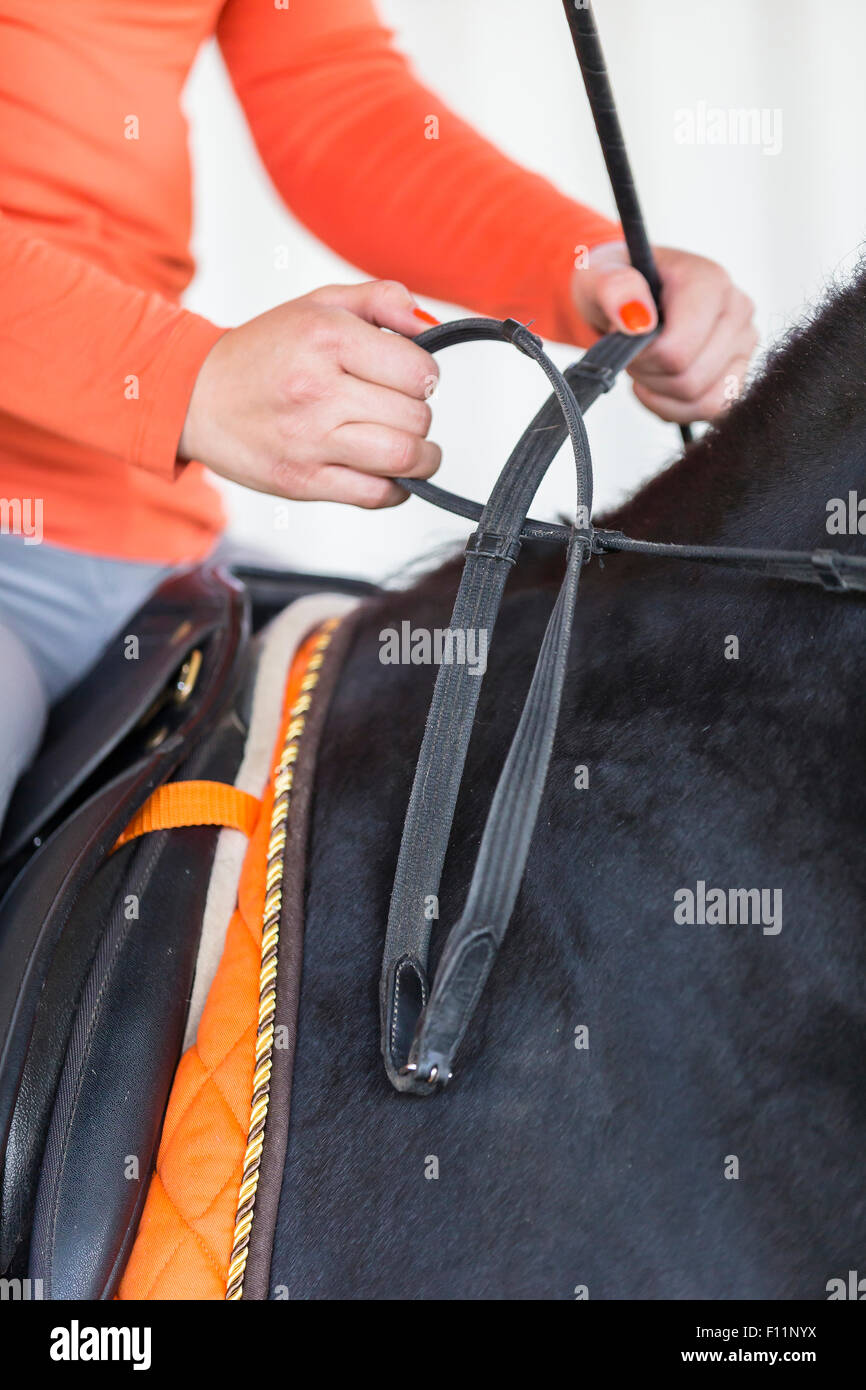 Correct manner holding reins hires stock photography and images Alamy