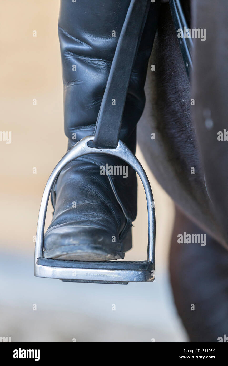 Horseback riding Riding boot stirrup Stock Photo Alamy
