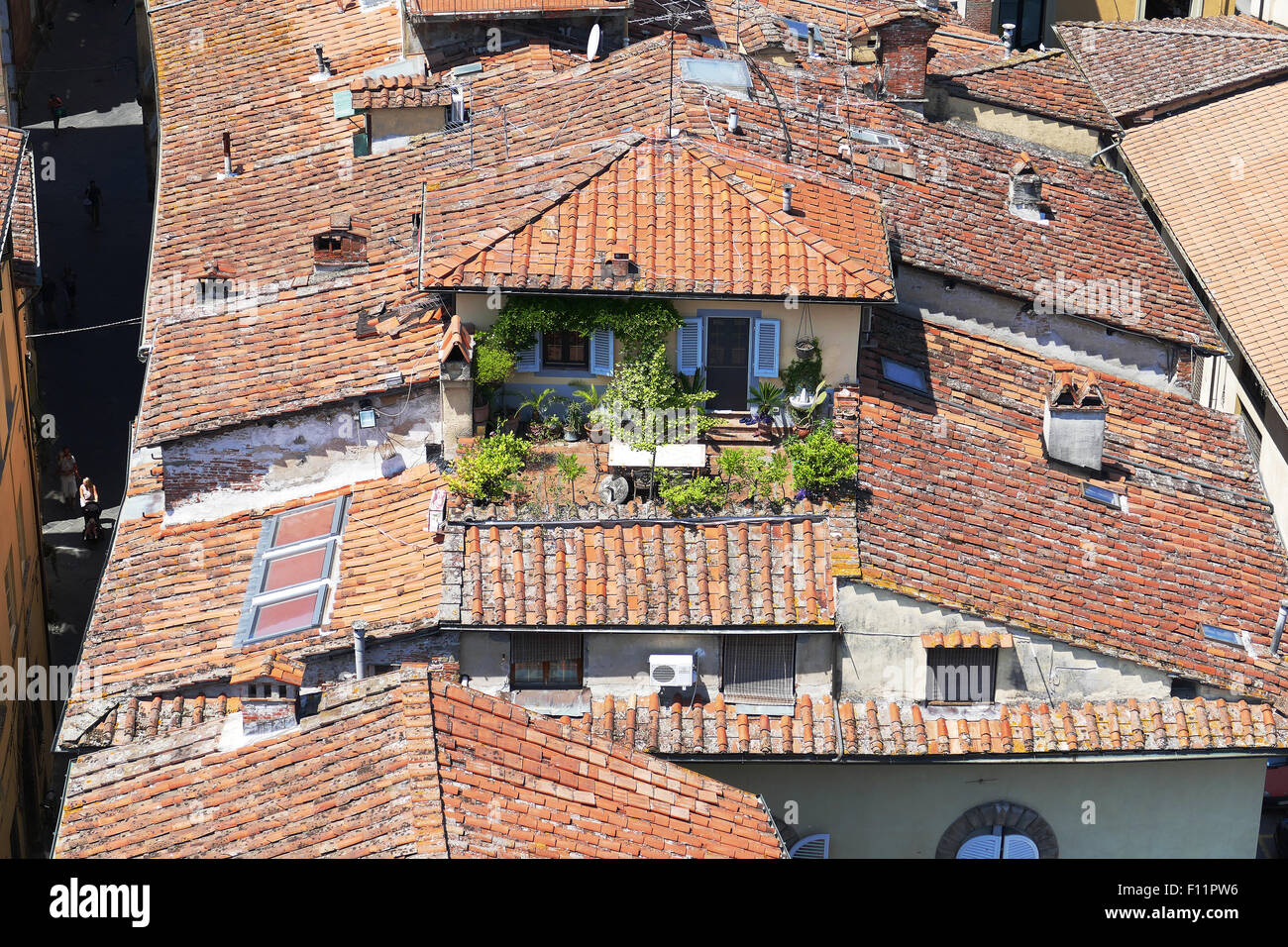 Roofgarden in the city of Lucca, Italy Stock Photo