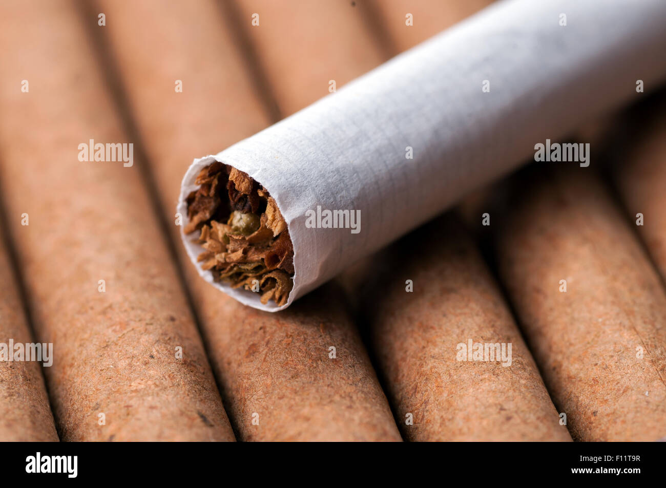 Tobacco in cigarette on dark cigarettes close up Stock Photo