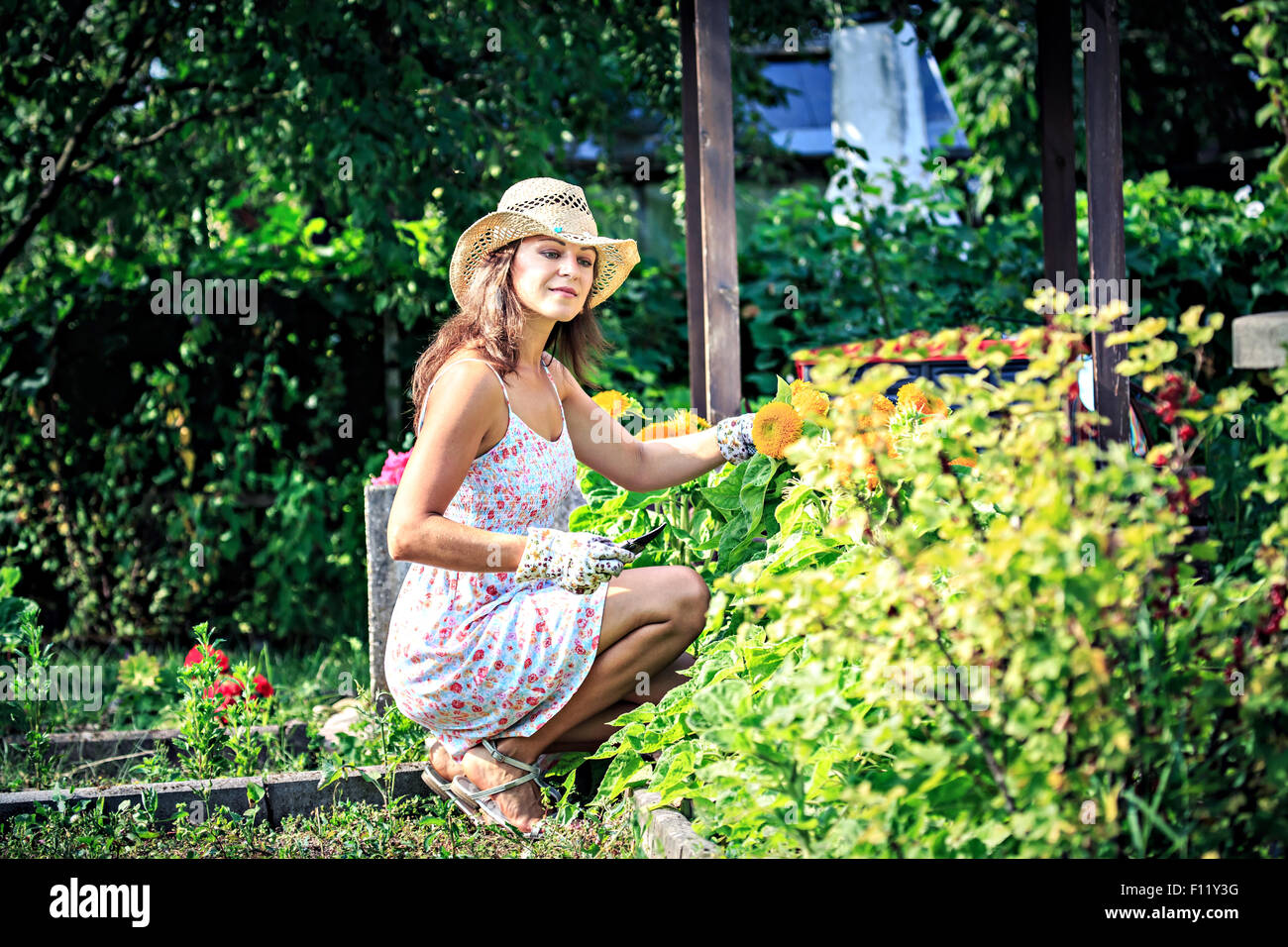 young woman working in the garden Stock Photo - Alamy