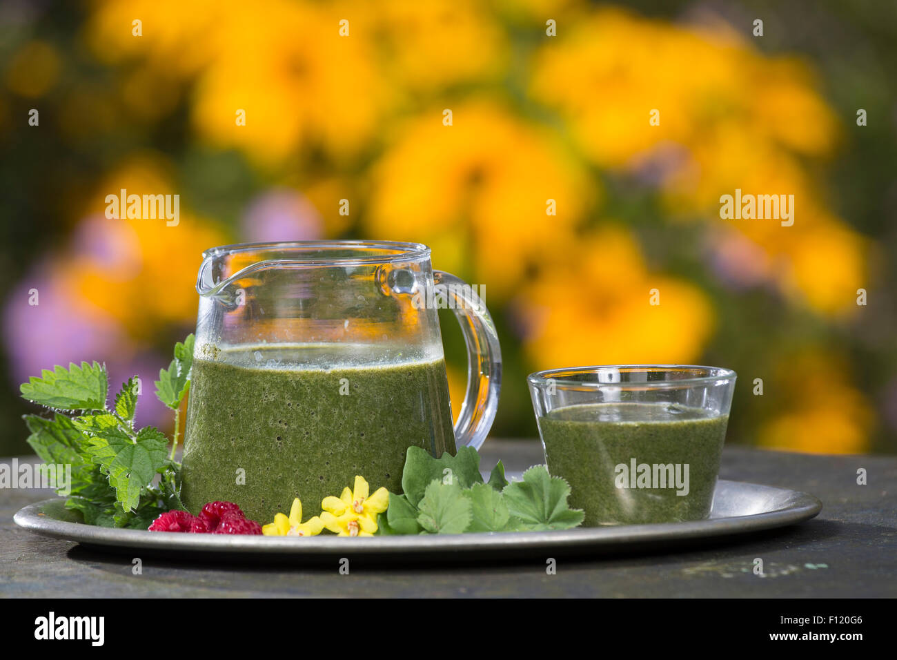 Green Smoothie, Smoothie, Grüner Smoothie, Smoothy, Ganzfruchtgetränk,  gesund, Gesundheit, healthiness, health, wellness Stock Photo