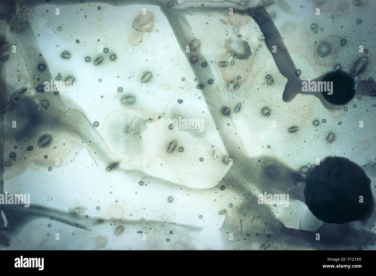 Abstract designed background made of expired photographic paper texture Stock Photo Alamy