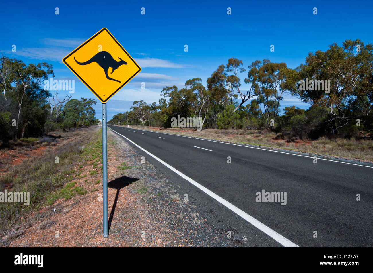 Kangaroo road sign on an outback road. Stock Photo