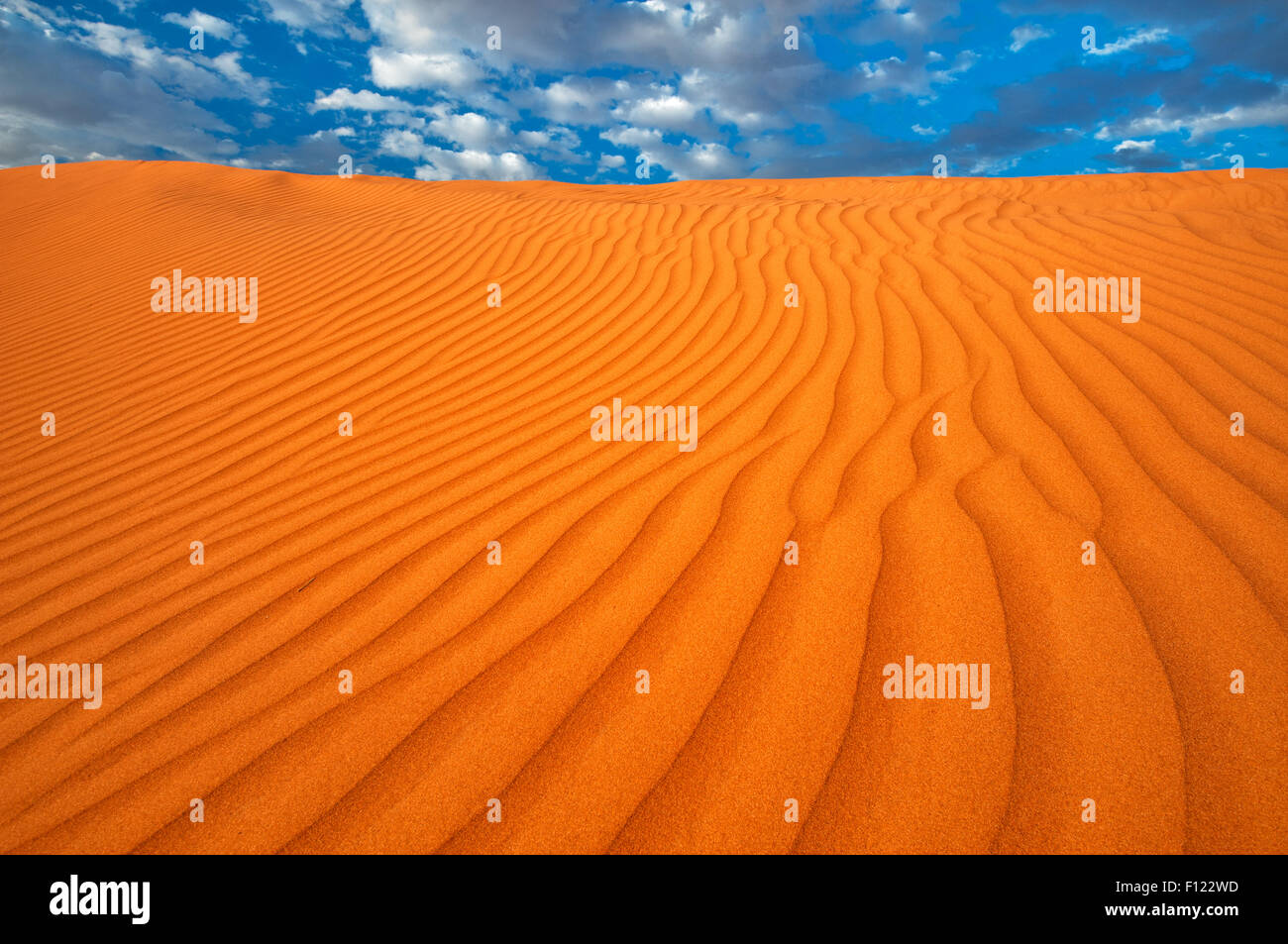 Red pattern on a Simpson Desert dune. Stock Photo