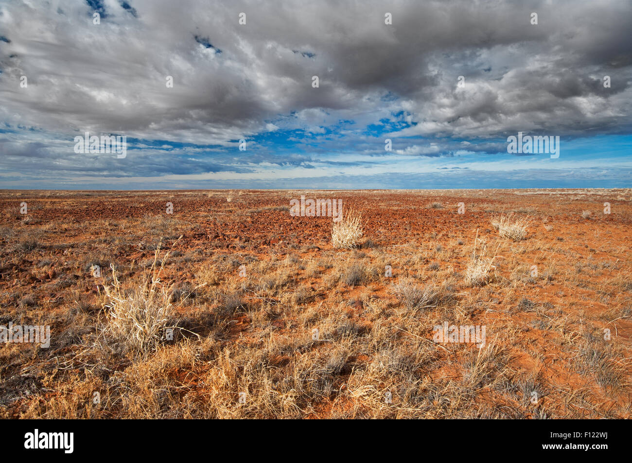 Barren vastness in Strzelecki Desert. Stock Photo