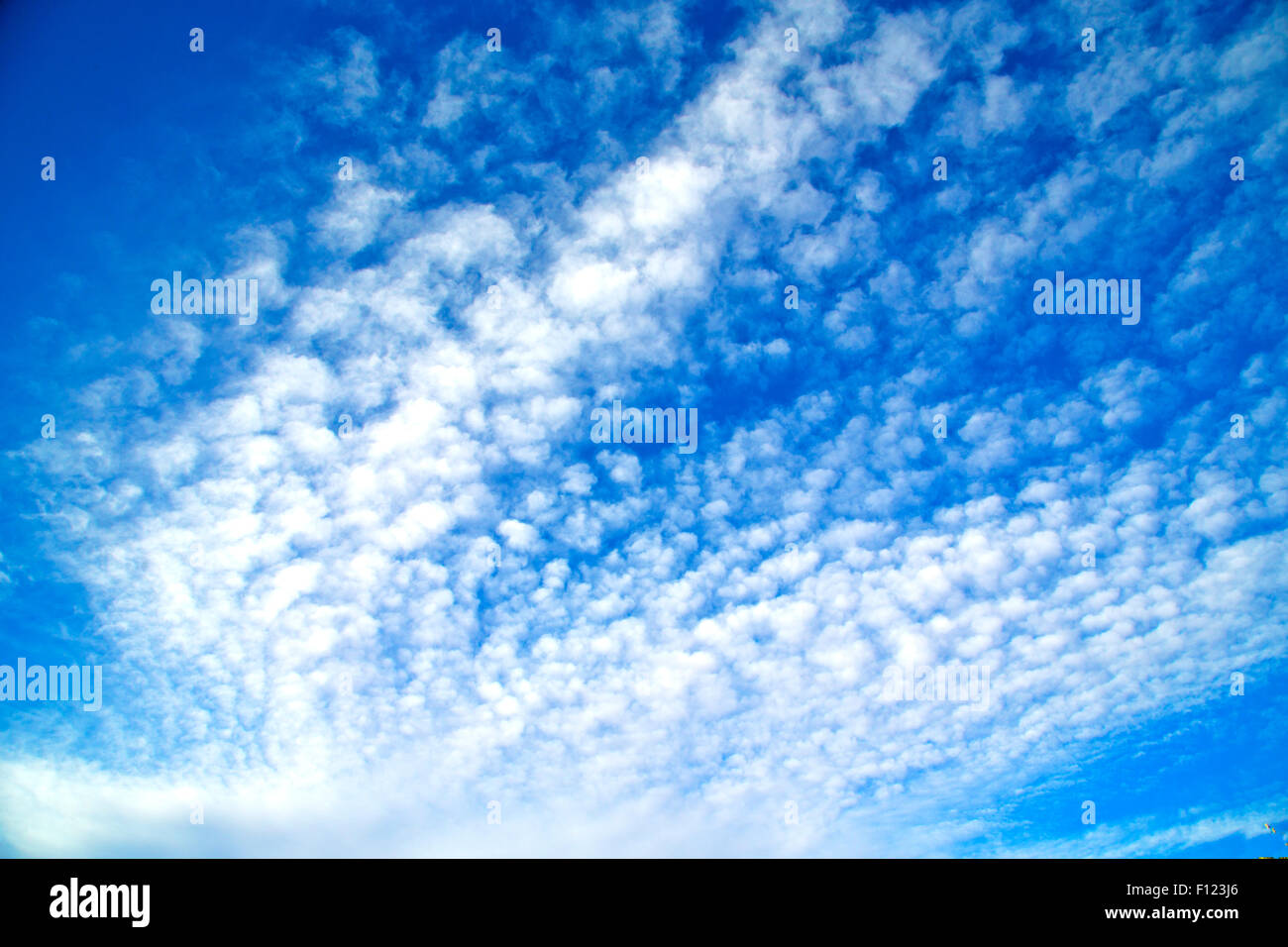 in the blue sky white soft clouds and abstract background Stock Photo ...
