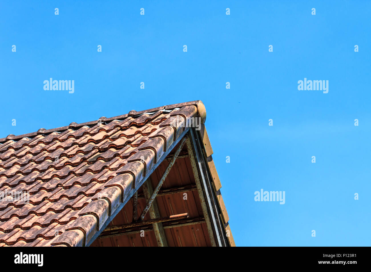 SKY TOP CLAY main image 0