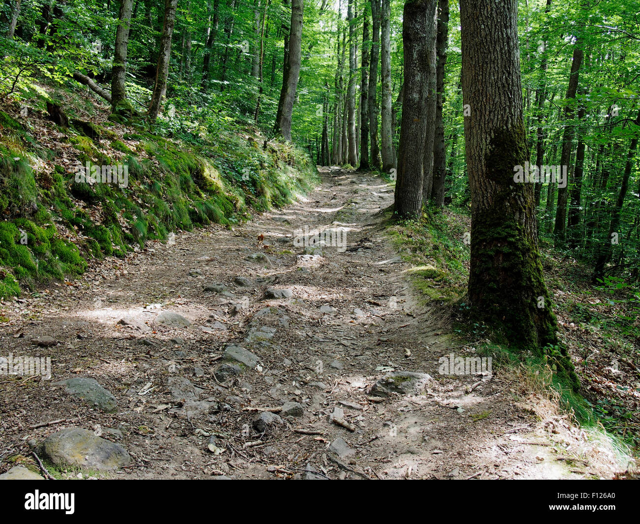 Path Roche Path from the gorge of the River Rouvre below the spectacular Roche d ...