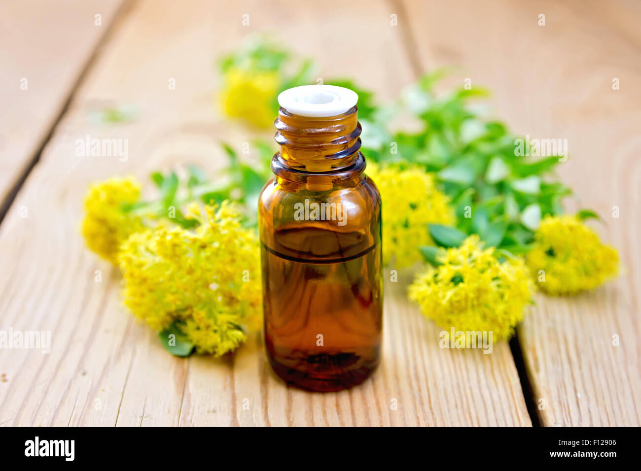 Oil with Rhodiola rosea on board Stock Photo