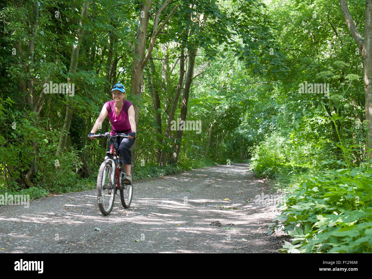 national cycling network
