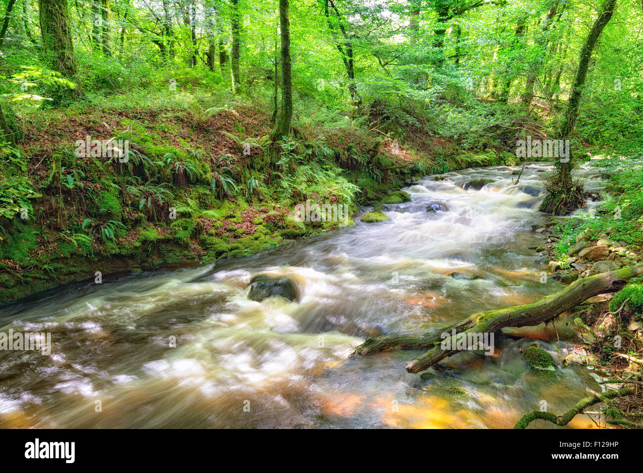 The river Bedalder at Warleggan on Bodmin Moor in Cornwall, also known as the Warleggan River Stock Photo