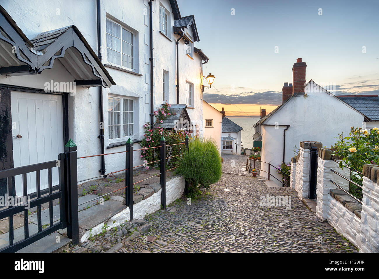 A narrow cobbled street lined with pretty cottages at Clovelly in north Devon Stock Photo