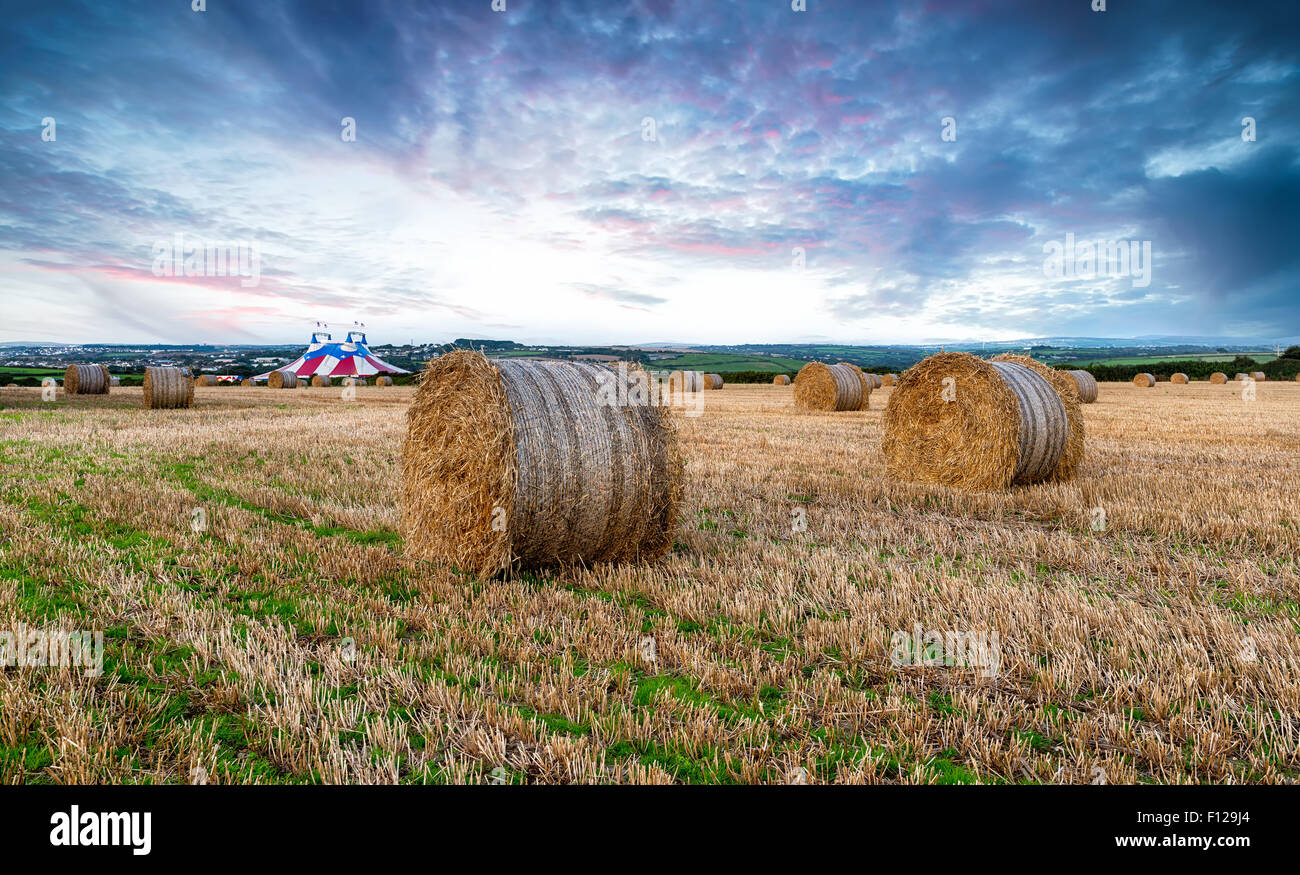 Hay bales at harvest time in a field near Newquay in cornwall with a circus tent in the background Stock Photo